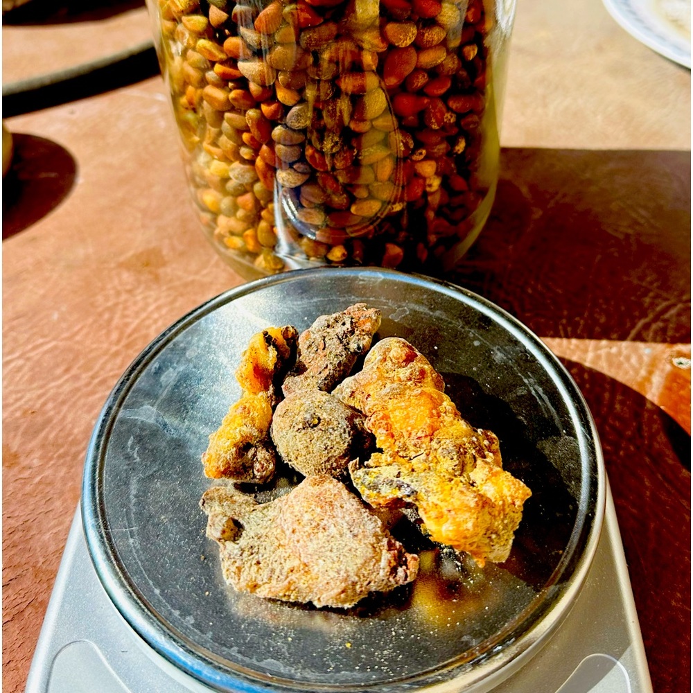 New Mexico Pinon sap hand-picked, organic.  2 oz.